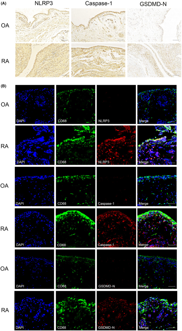 FIGURE 4