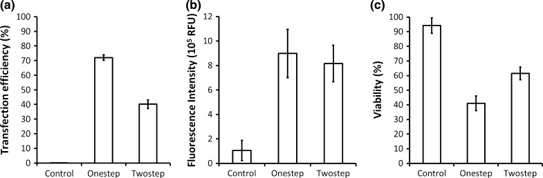 Fig. 1