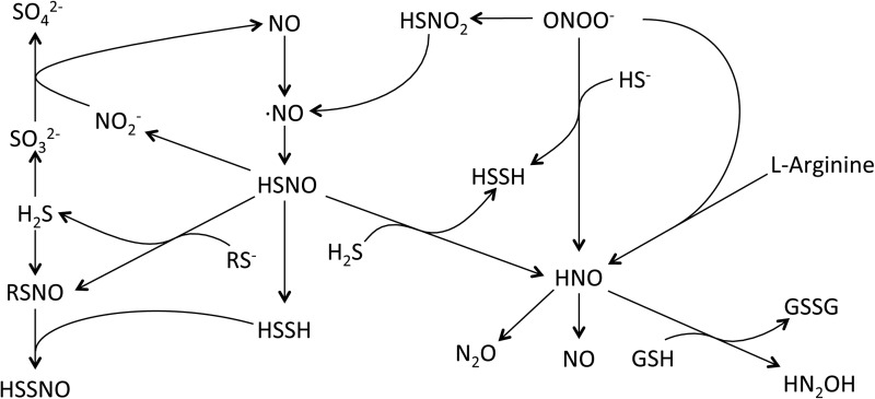 FIG. 4.