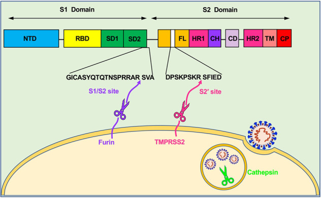 Fig. 3