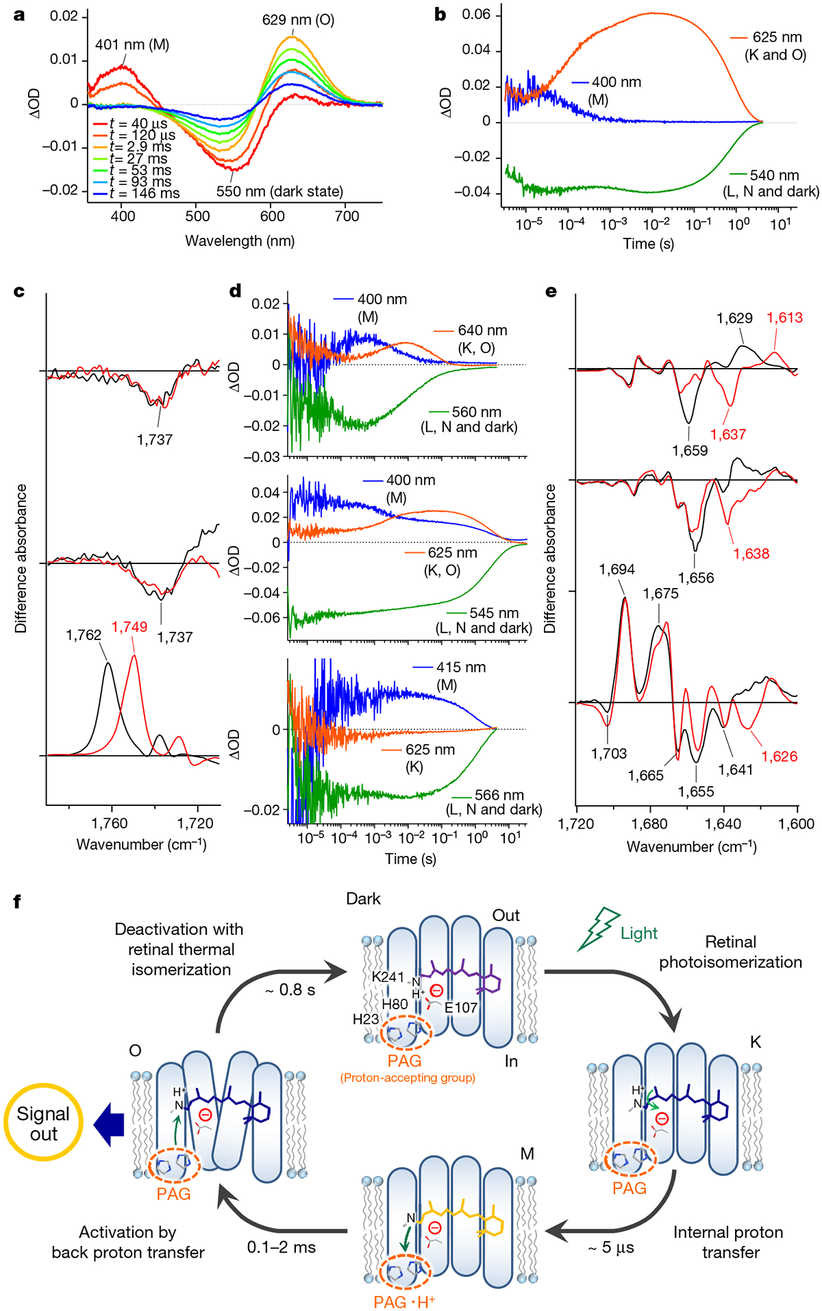 Fig. 4 |