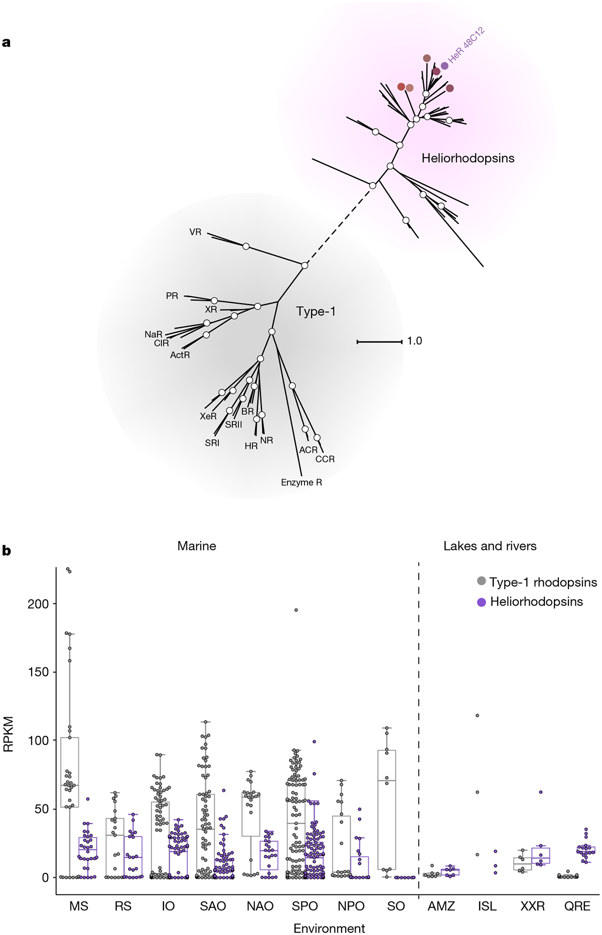 Fig. 2 |