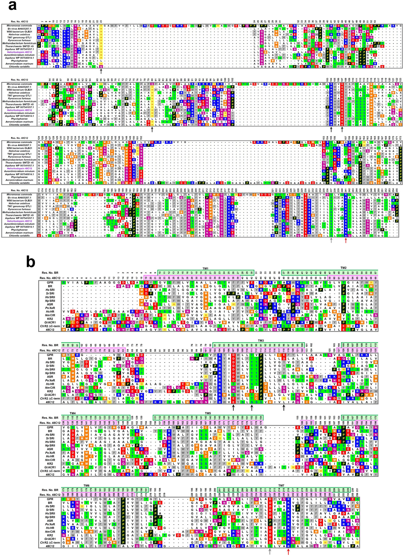 Extended Data Fig. 1 |