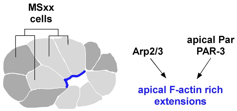 Fig. 9.