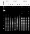 FIG. 4.