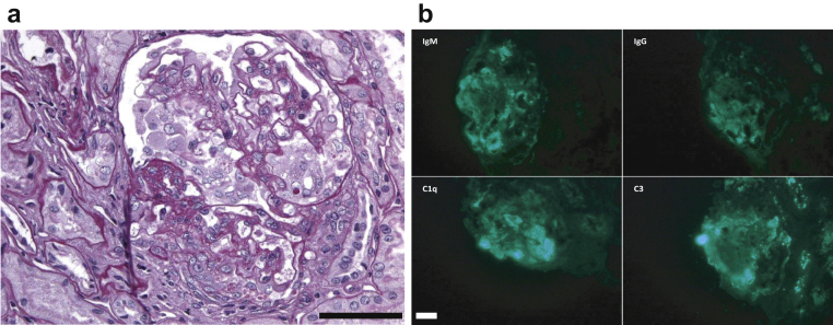 Figure 1