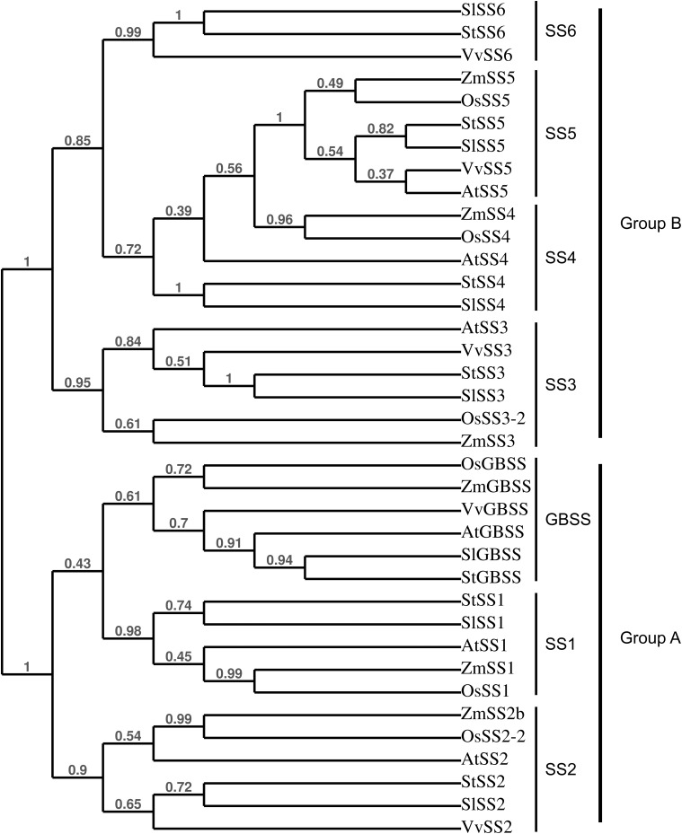 FIGURE 2