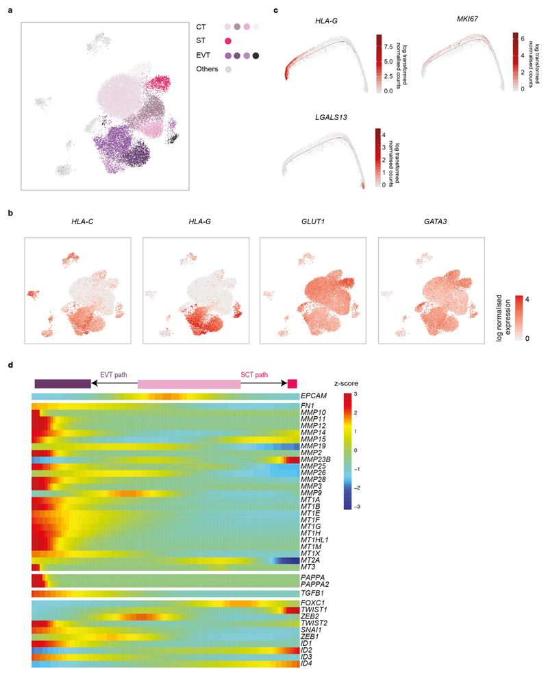 Extended Data Fig. 5