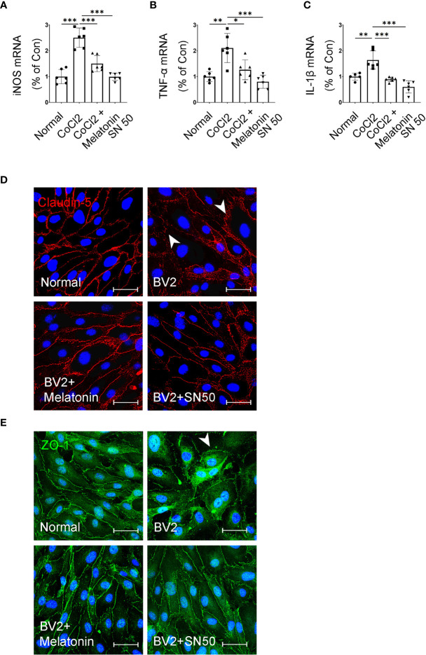 Figure 10