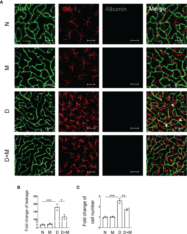 Figure 3