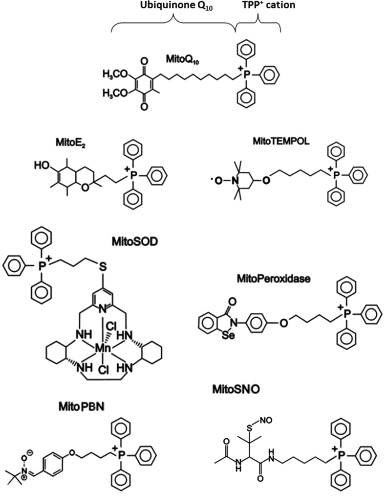 FIG. 10.