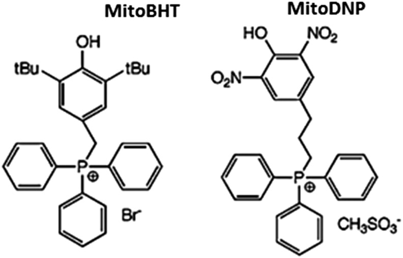 FIG. 14.