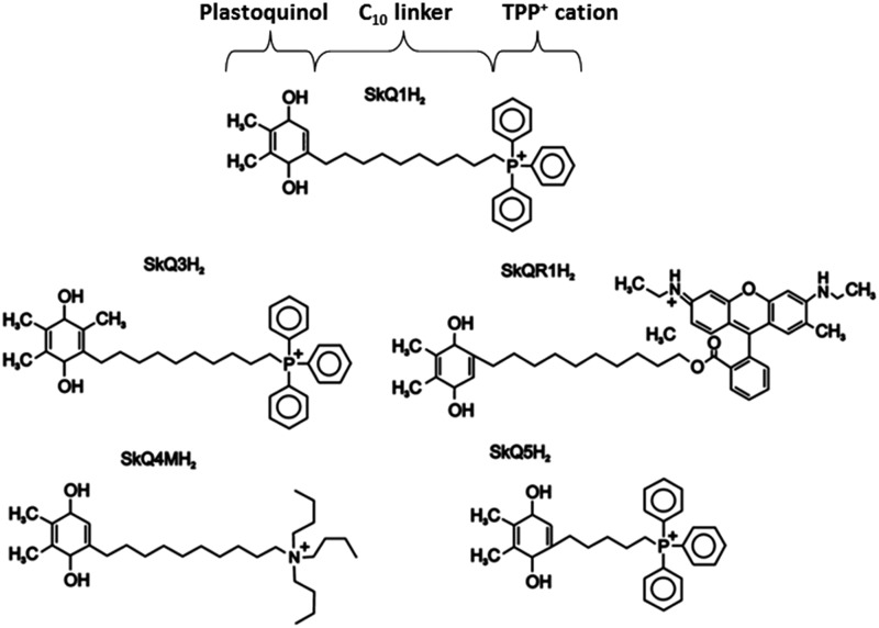 FIG. 11.