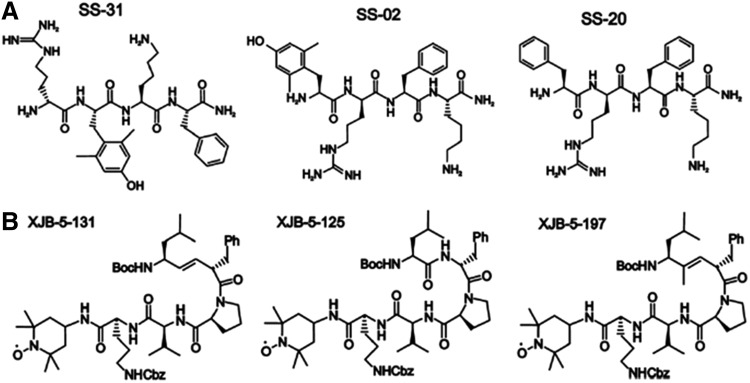 FIG. 12.