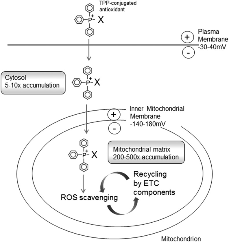 FIG. 9.