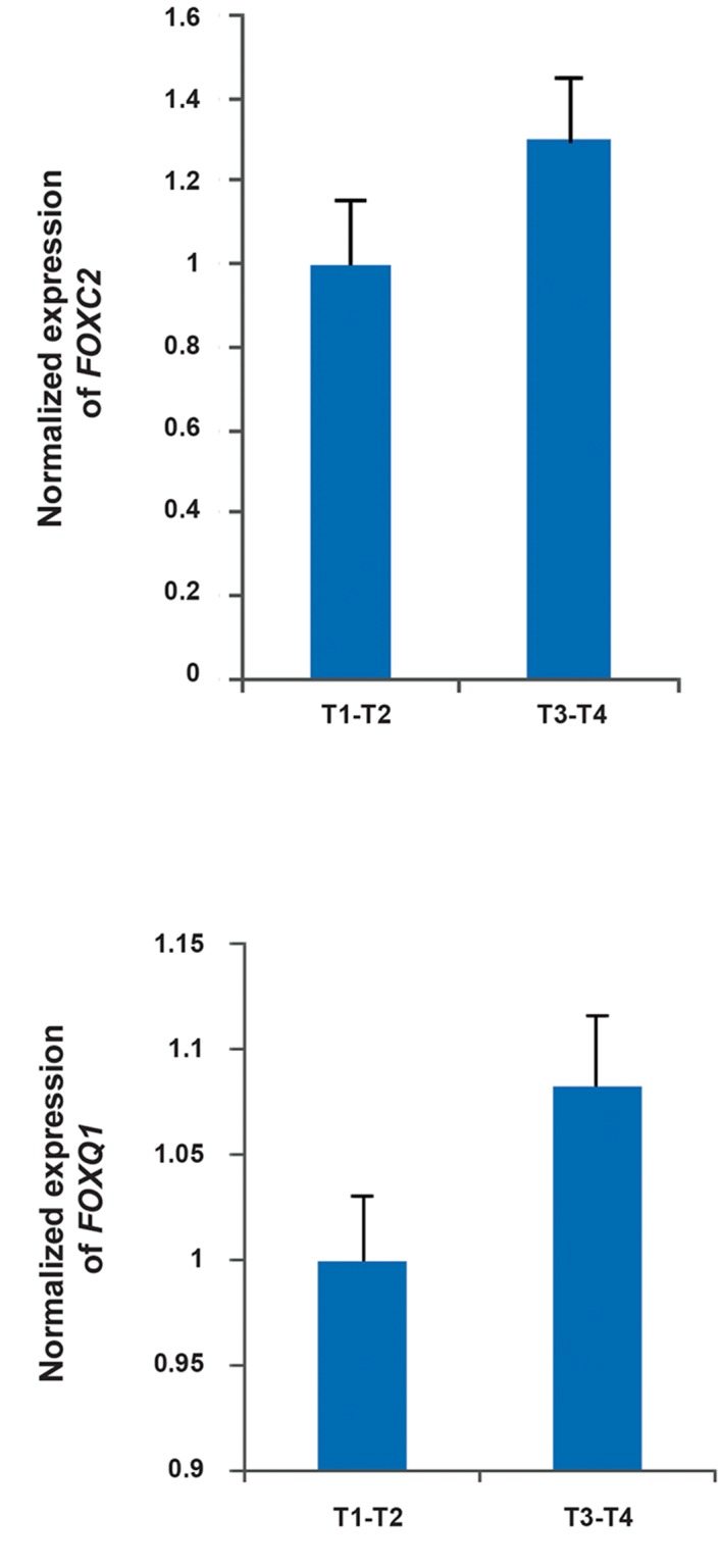 Fig.3