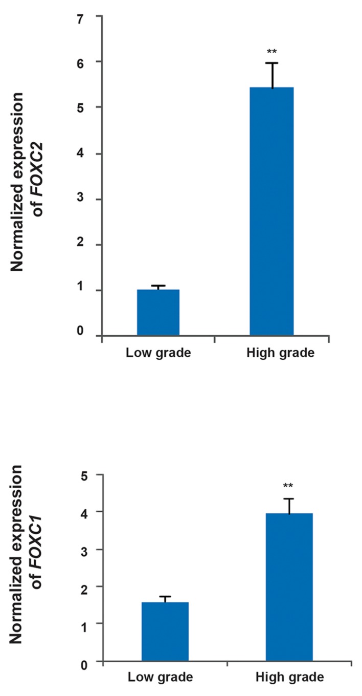 Fig.2