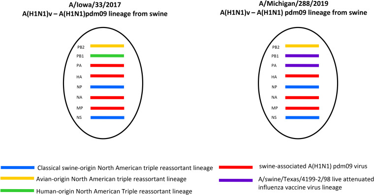 FIG 2