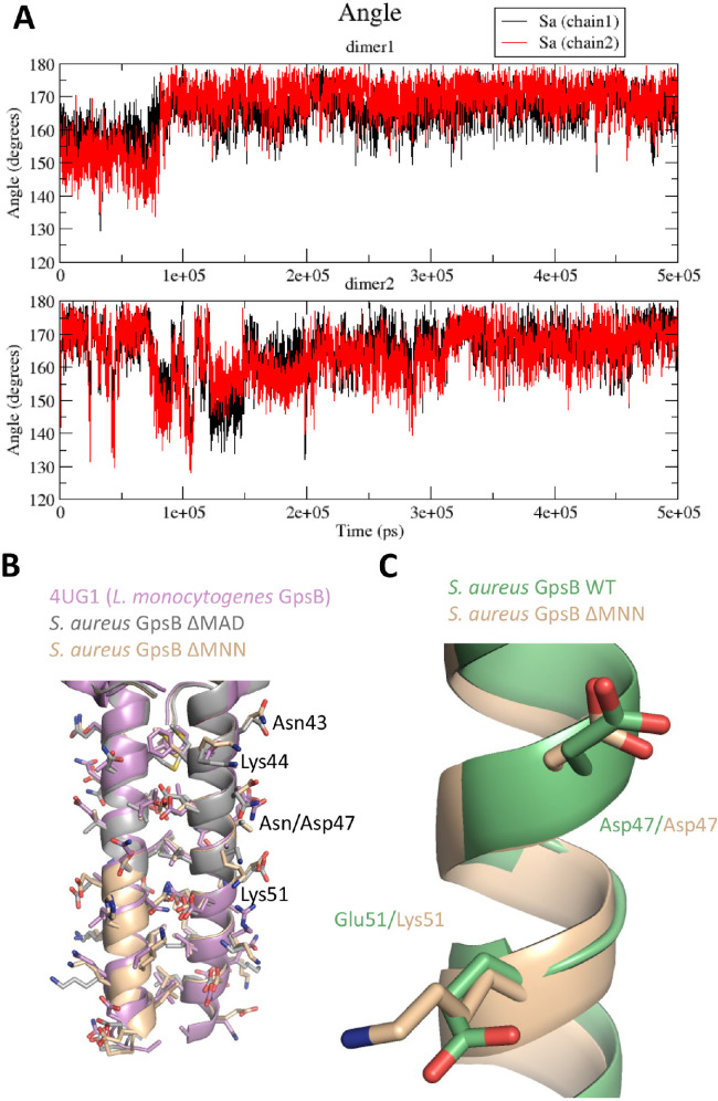 Figure 1—figure supplement 3.