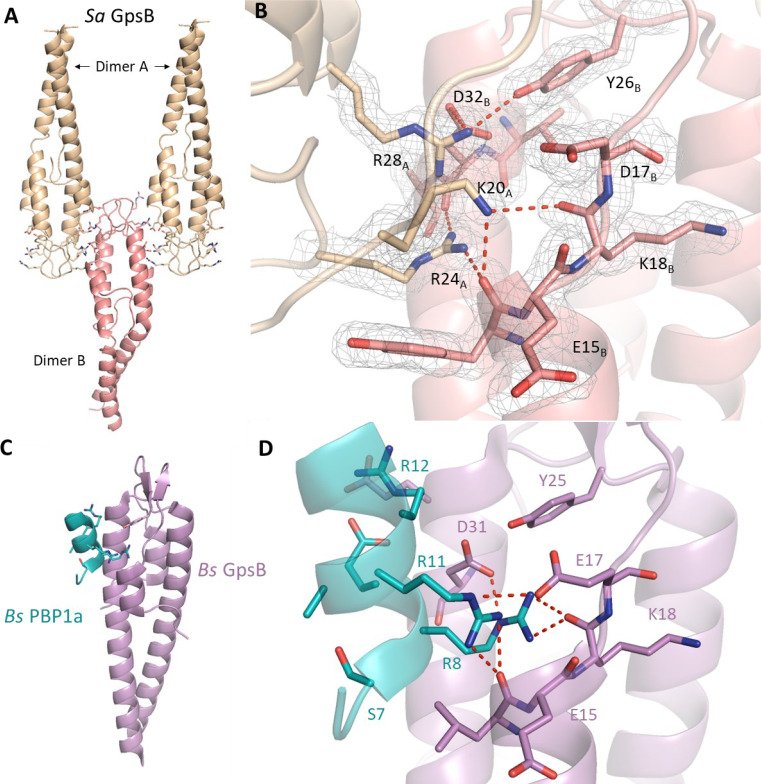 Figure 4—figure supplement 1.