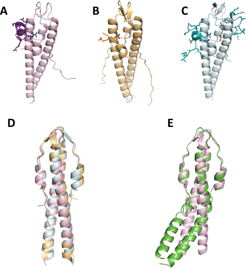 Figure 1—figure supplement 1.