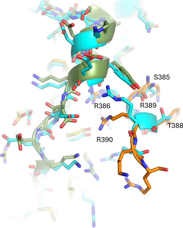 Figure 4—figure supplement 3.