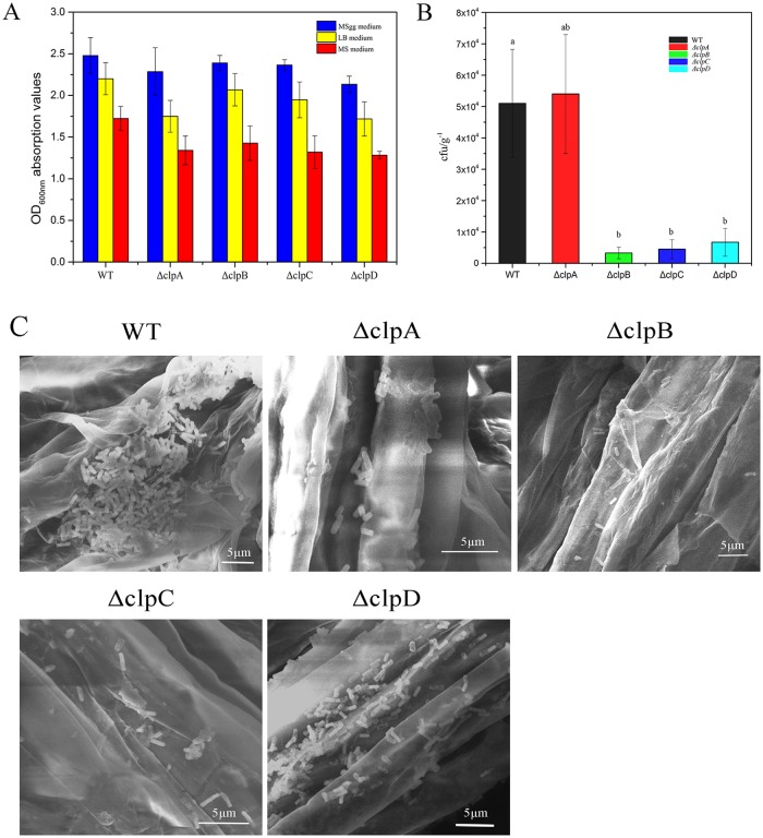 Fig 6