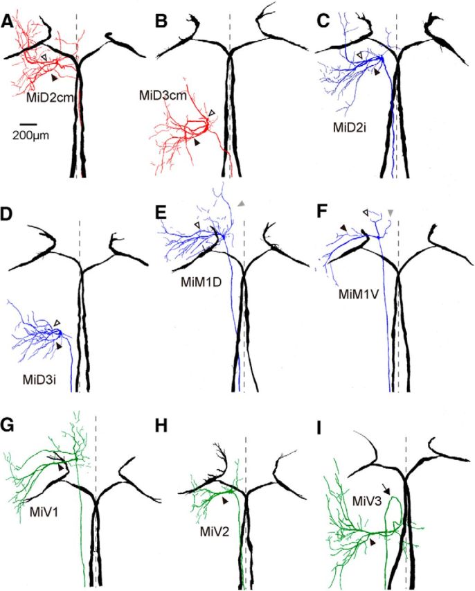 Figure 3.