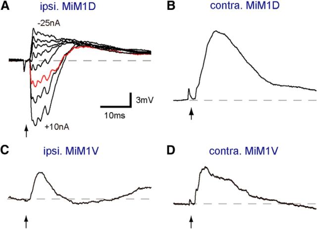 Figure 7.