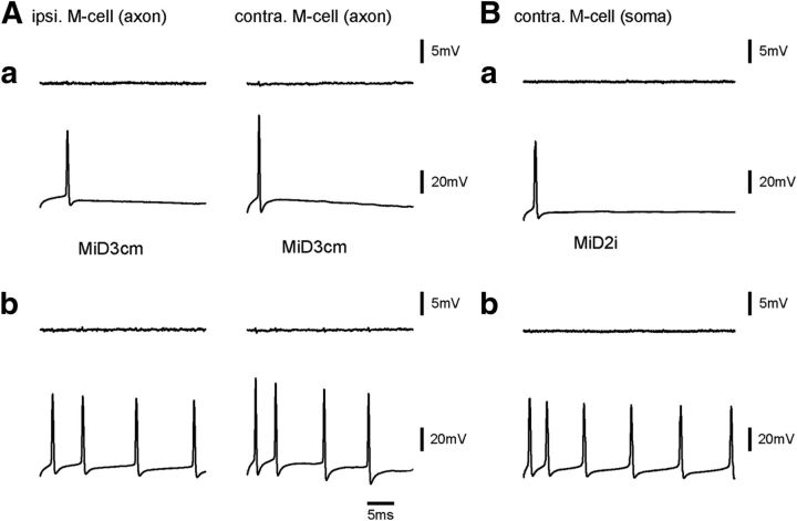 Figure 10.