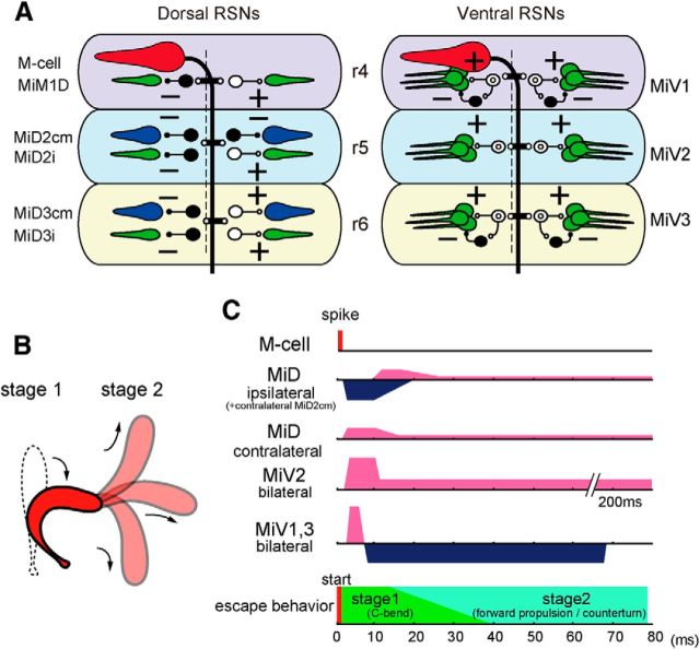 Figure 11.