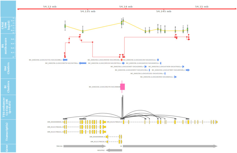 FIGURE 10