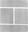 983
