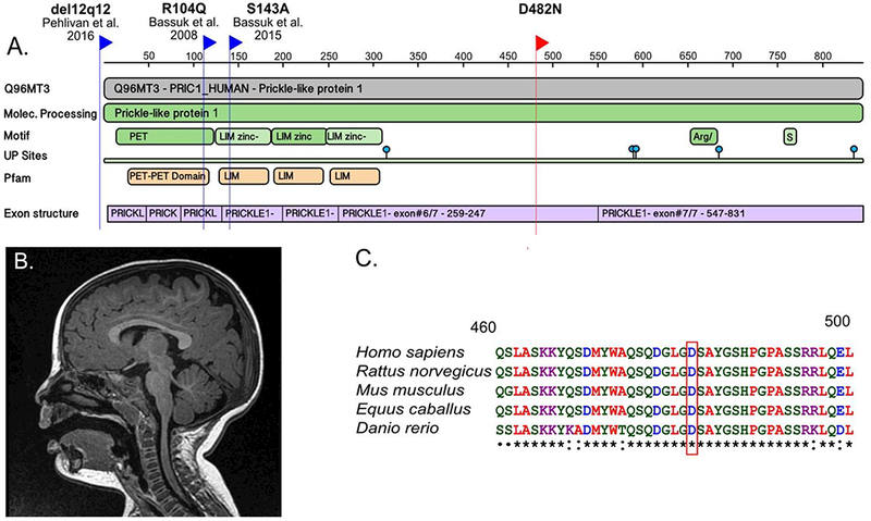 Figure 1: