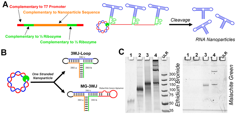 Figure 5.