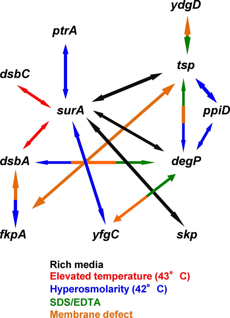 Fig 4