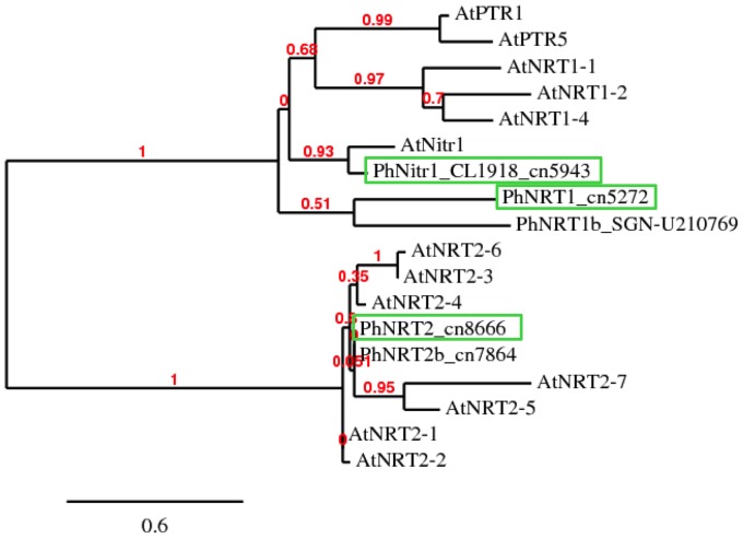 Figure 7