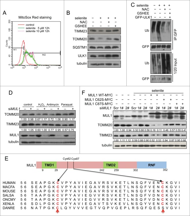 Figure 6.