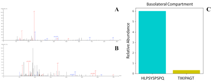 Fig. 6