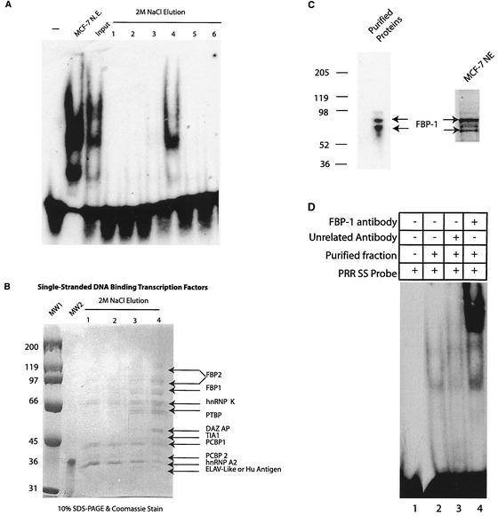 FIG. 6.