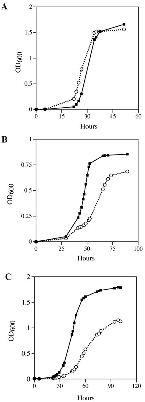 FIG.2.