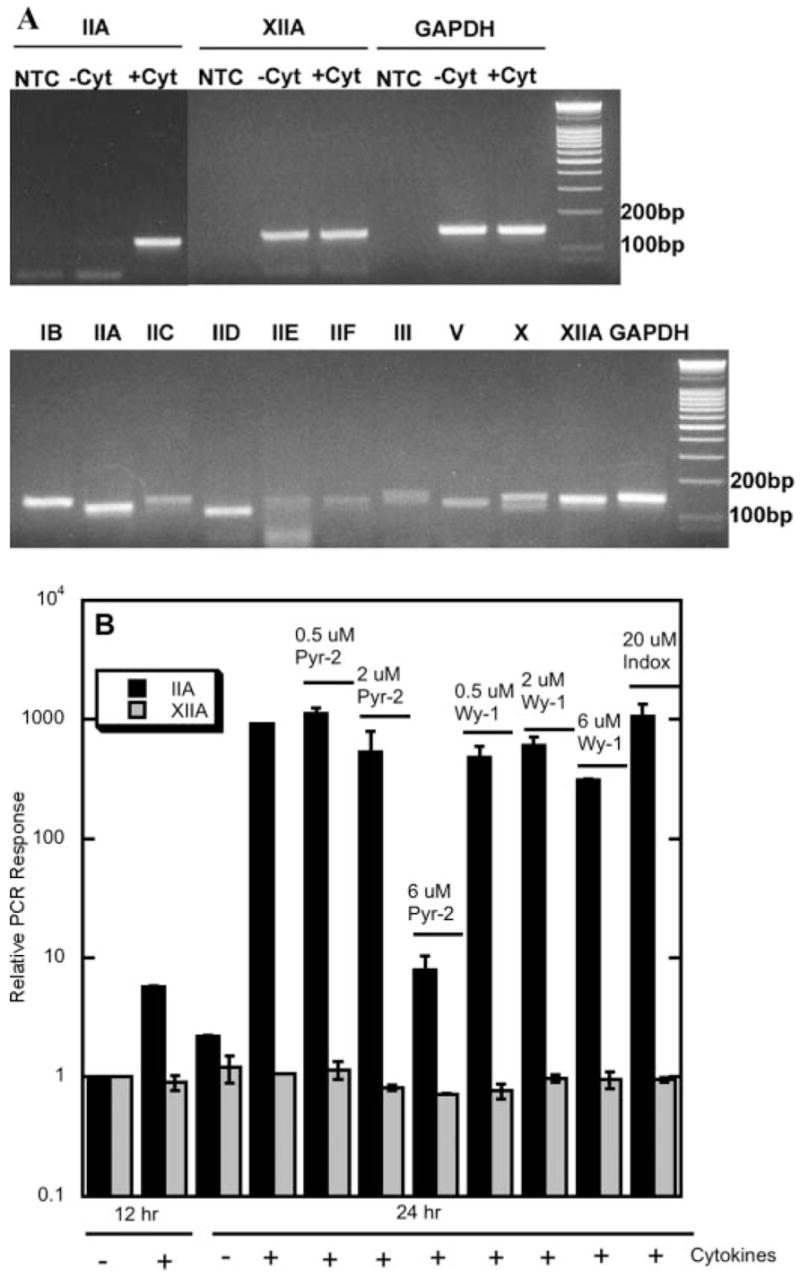 FIGURE 11