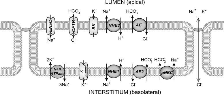 Fig. 2.