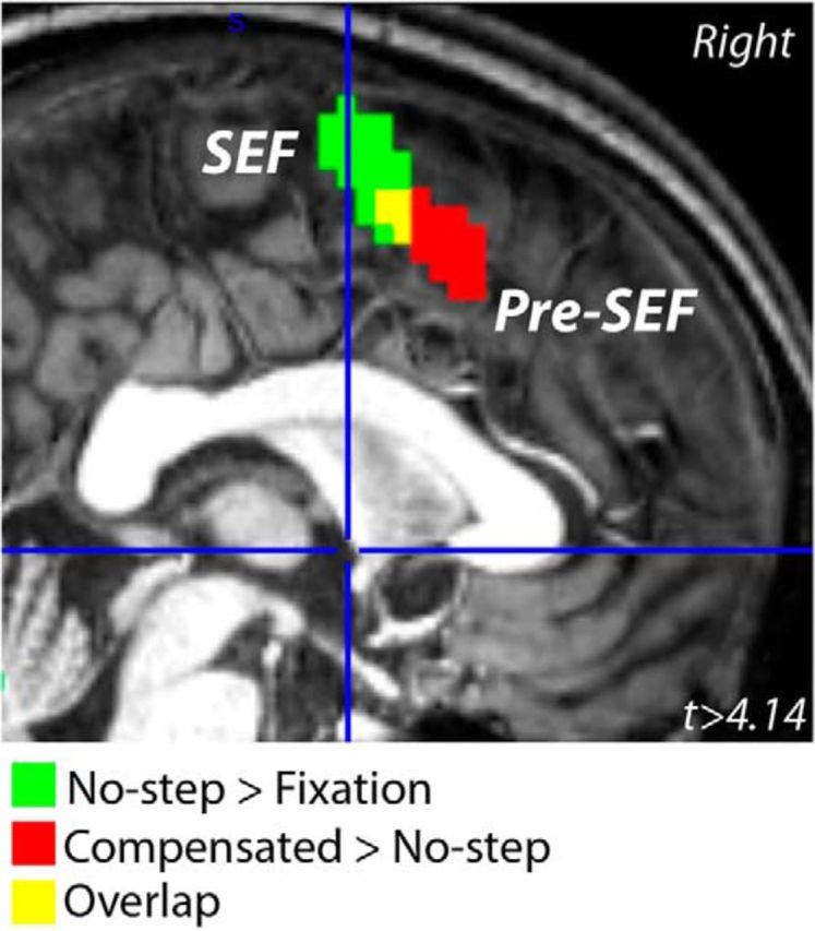 Figure 5.