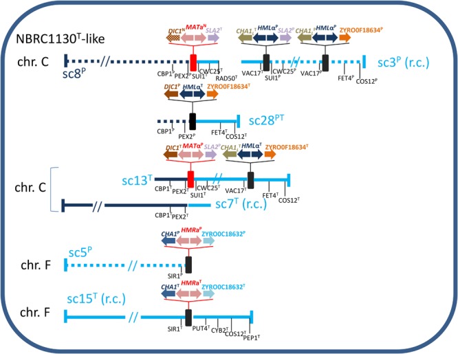 FIGURE 3