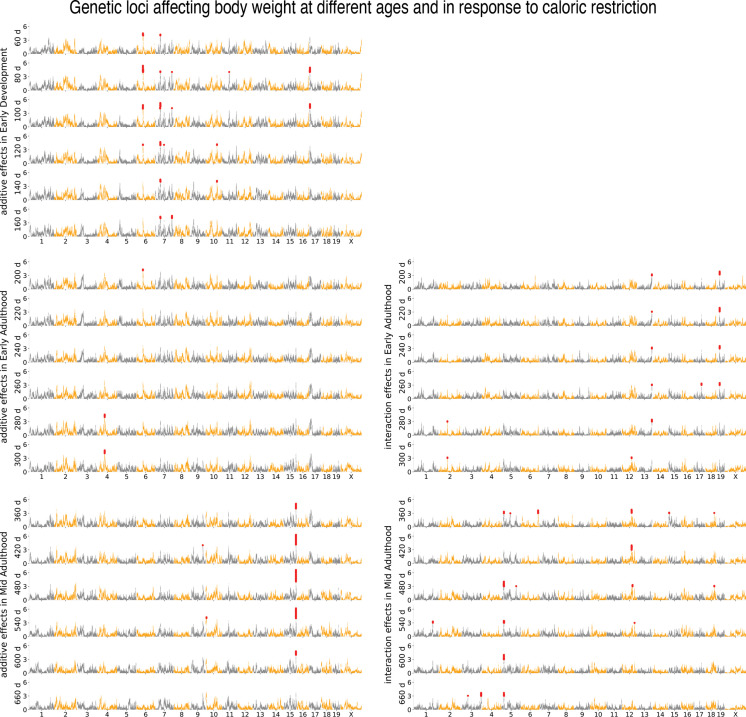 Figure 5—figure supplement 1.