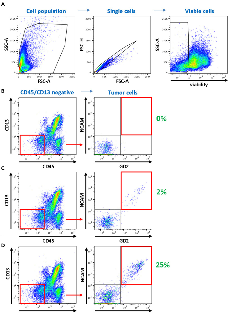 Figure 3