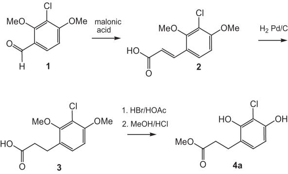 Scheme 1