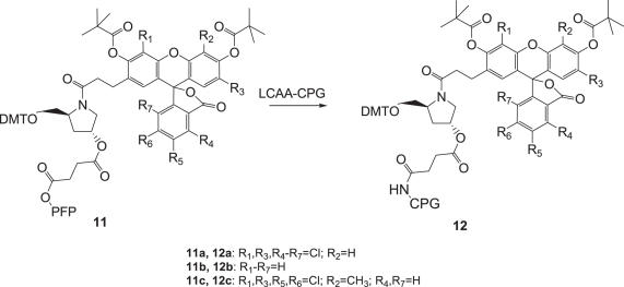 Scheme 3