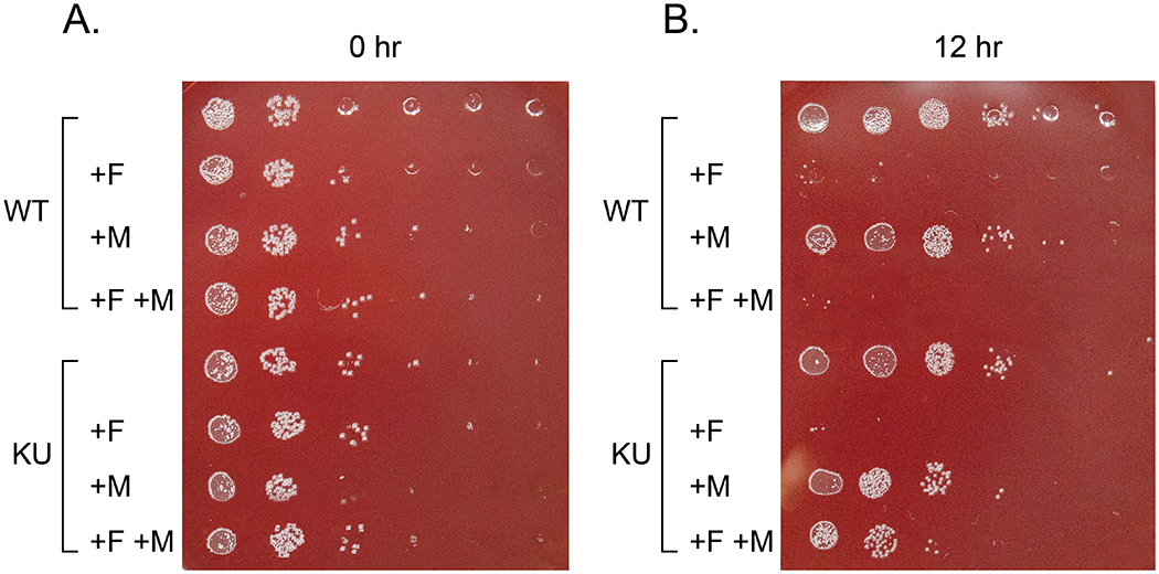 Figure 5: